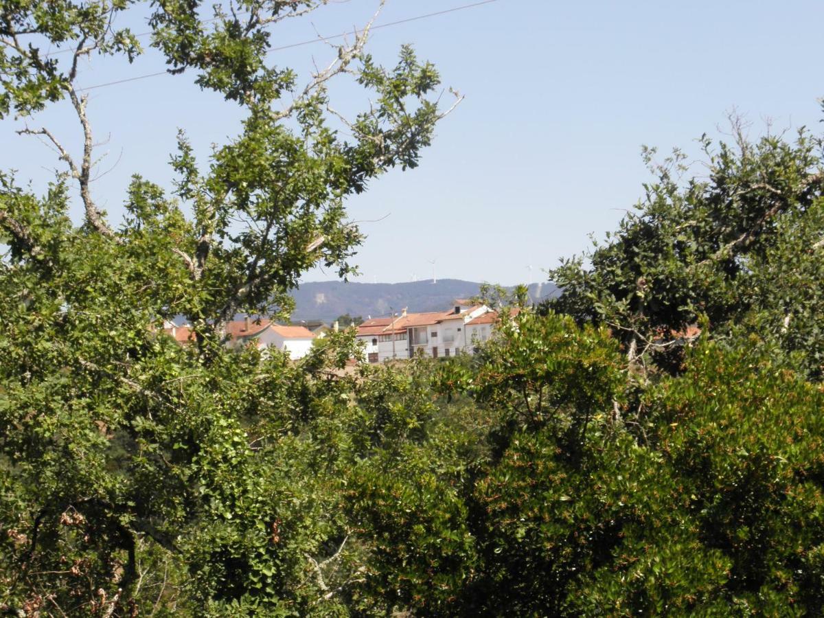 Quinta Mata Da Se Ξενοδοχείο Miranda do Corvo Εξωτερικό φωτογραφία