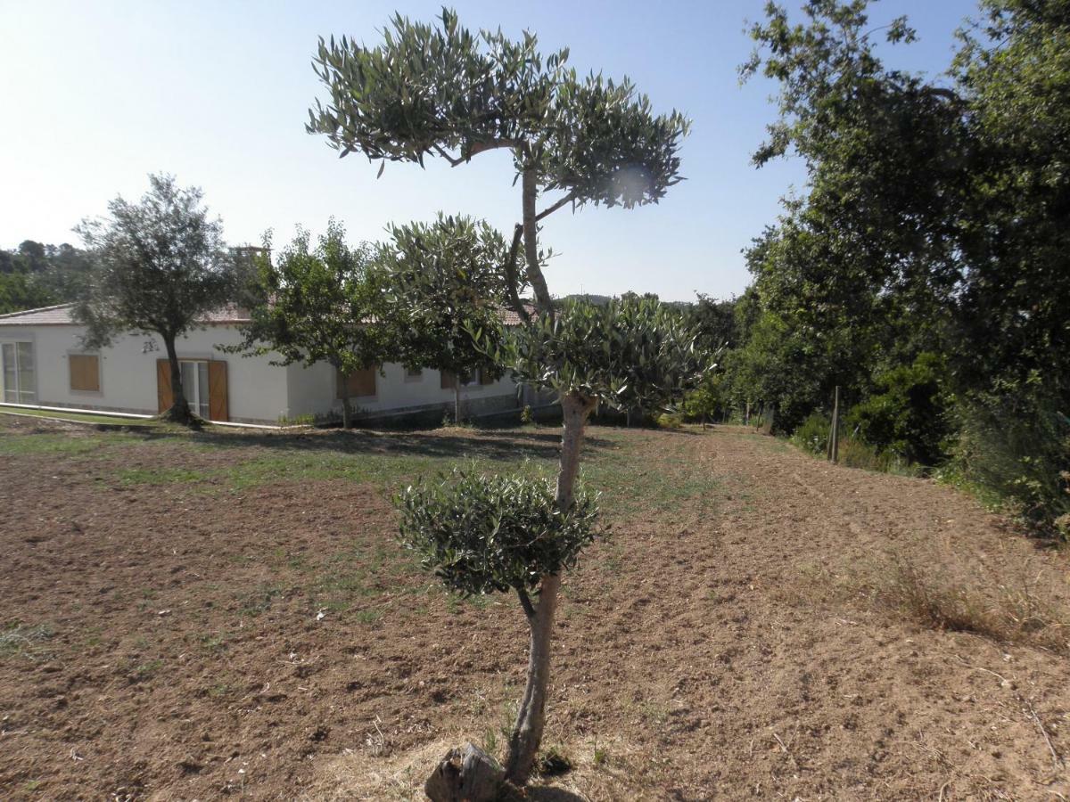 Quinta Mata Da Se Ξενοδοχείο Miranda do Corvo Εξωτερικό φωτογραφία
